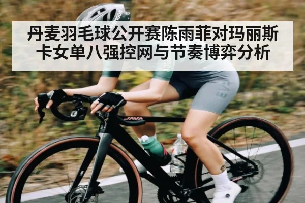 丹麦羽毛球公开赛陈雨菲对玛丽斯卡女单八强控网与节奏博弈分析